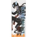 MARQUE-PAGE BLUE EXORCIST