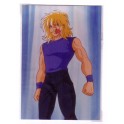 PHOTO SAINT SEIYA CYGNE 1