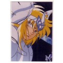PHOTO SAINT SEIYA CYGNE 2