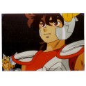 PHOTO SAINT SEIYA PEGASE 2