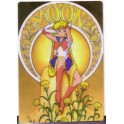 SHITAJIKI SAILOR MOON 1093A