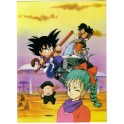 DRAGON BALL CARTE GEANTE