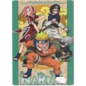 NARUTO 2005