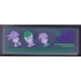 PLUMIER CYBER FORMULA