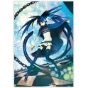PANINI SHONEN PORTFOLIO