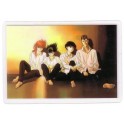 RAMI CARD YU YU HAKUSHO 0794C