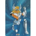 SHITAJIKI SAINT SEIYA 0487B