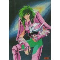 SHITAJIKI SAINT SEIYA 0487A