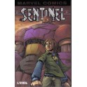 SENTINEL 2