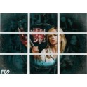 BUFFY THE VAMPIRE SLAYER TRADING CARDS SEASON 7 - FB9