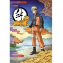 NARUTO TIN SIGN