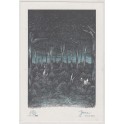 JUNE LITHO by NICOLAS MOOG