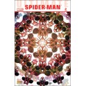 ULTIMATE SPIDER-MAN V2 1 to 12 COMPLETE SET