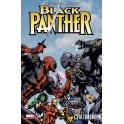 BLACK PANTHER 2 - CHATIMENT
