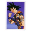 RAMI CARD DRAGON BALL Z 0794GC