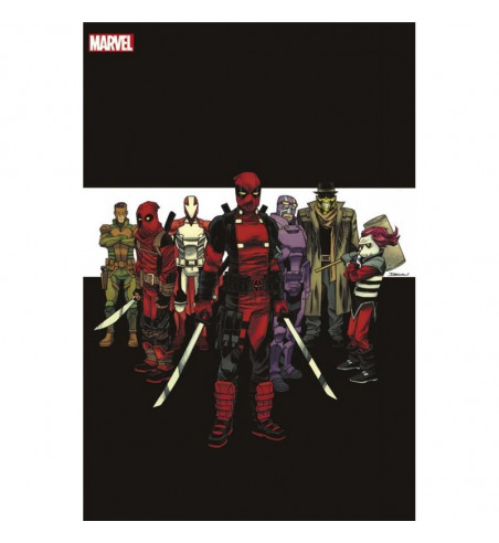 ALL NEW DEADPOOL 9 VARIANT
