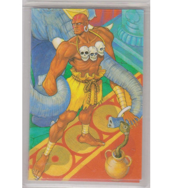 STREET FIGHTER II RAMI CARD 0494E