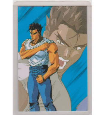 STREET FIGHTER II V RAMI CARD 0795A