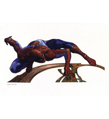 SPIDER-MAN LITHO by SIMONE BIANCHI