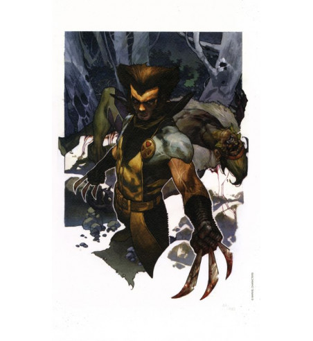 WOLVERINE VS SABRETOOTH LITHO by SIMONE BIANCHI