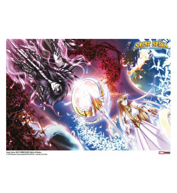 SAINT SEIYA NEXT DIMENSION LITHO