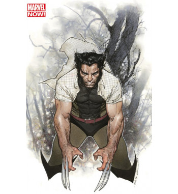 WOLVERINE V4 1 VARIANTE