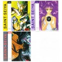 3 INDEX CARDS SAINT SEIYA 0288