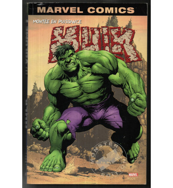 HULK 1