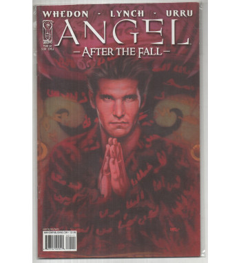ANGEL - AFTER THE FALL 1
