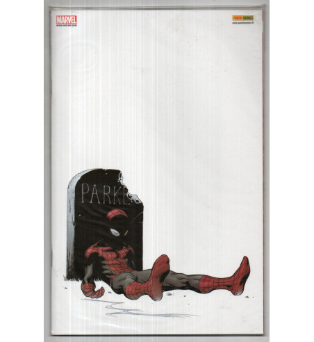 ULTIMATE SPIDER-MAN V2 12 VARIANT