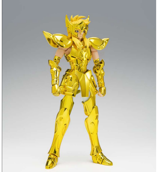 YTH CLOTH EX - AQUARIUS HYOGA INHERITOR OF THE GOLD CLOTH