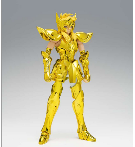 YTH CLOTH EX - AQUARIUS HYOGA INHERITOR OF THE GOLD CLOTH