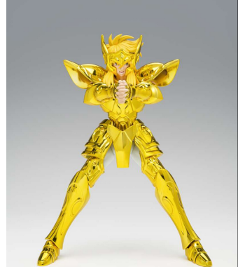 YTH CLOTH EX - AQUARIUS HYOGA INHERITOR OF THE GOLD CLOTH