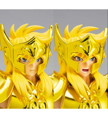 YTH CLOTH EX - AQUARIUS HYOGA INHERITOR OF THE GOLD CLOTH