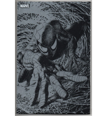 SPIDER-MAN V6 9 VARIANTE