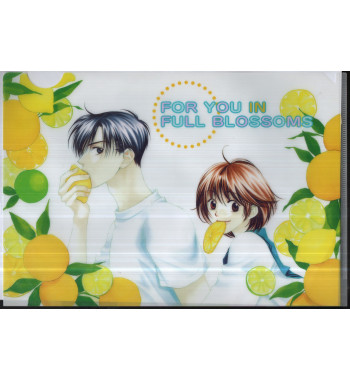 POCHETTE COIN  HANA KIMI / PARMI EUX