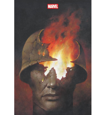 OMNIBUS PUNISHER par GARTH ENNIS 2 VARIANTE