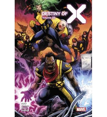 DESTINY OF X 23 COLLECTOR